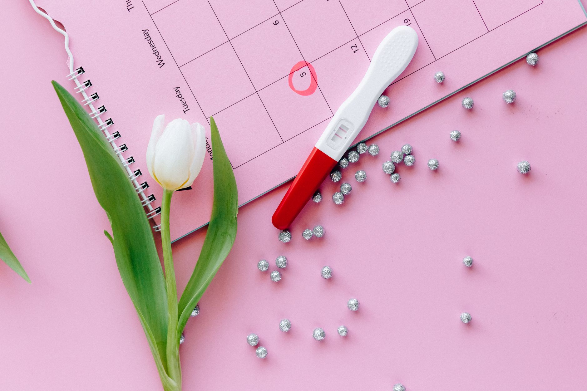 Zwanger per week en per trimester